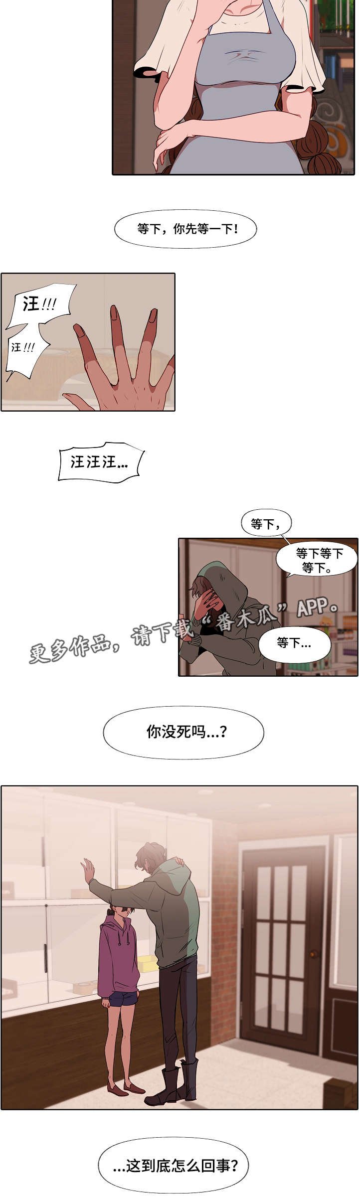 第7章：错觉