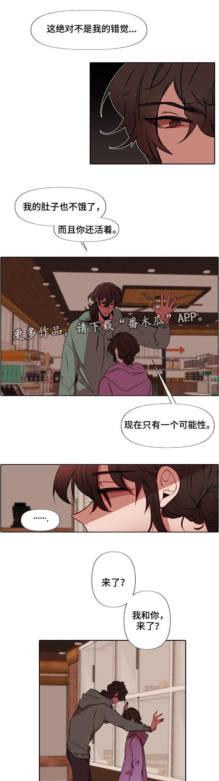 第7章：错觉