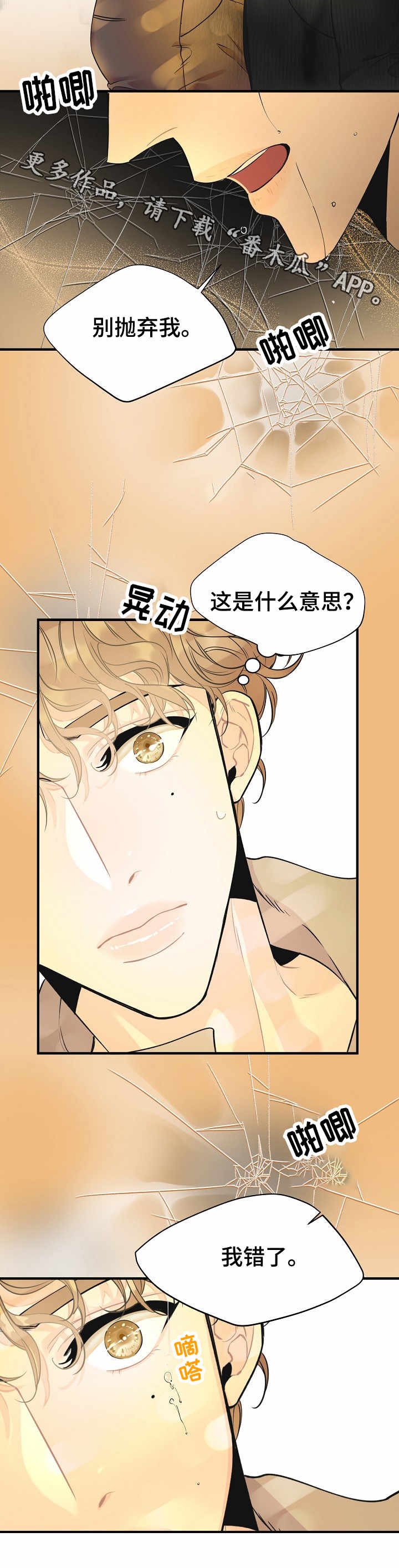 第3章：虚幻的梦