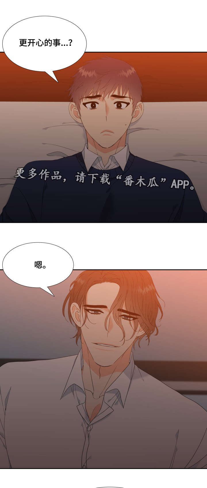 第14章：诱骗