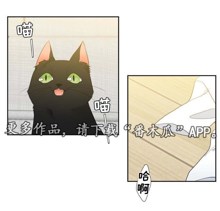 第37章：健身