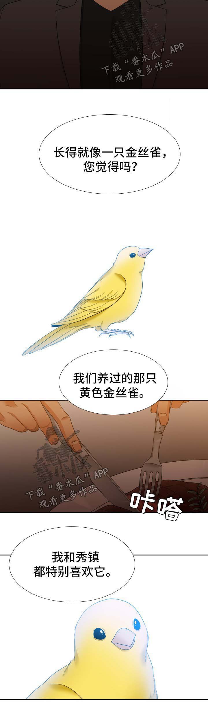 第50章：金丝雀