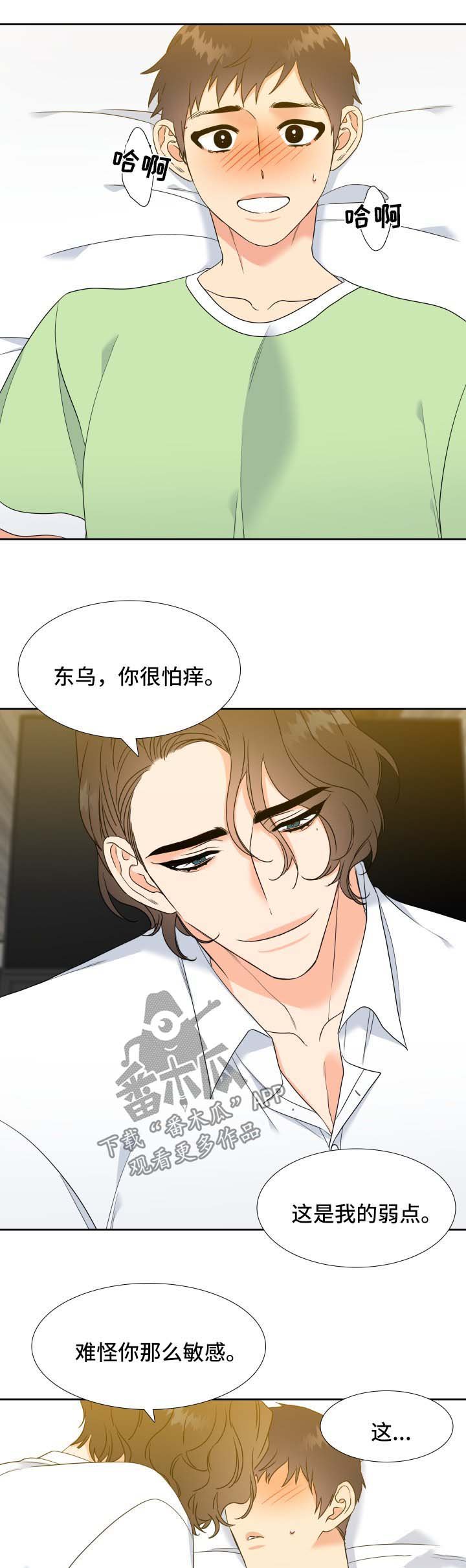 第52章：主动