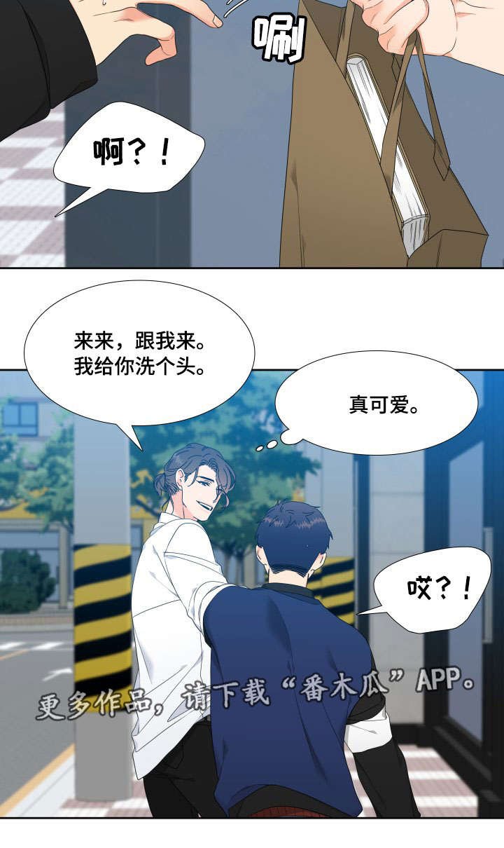 第7章：出主意