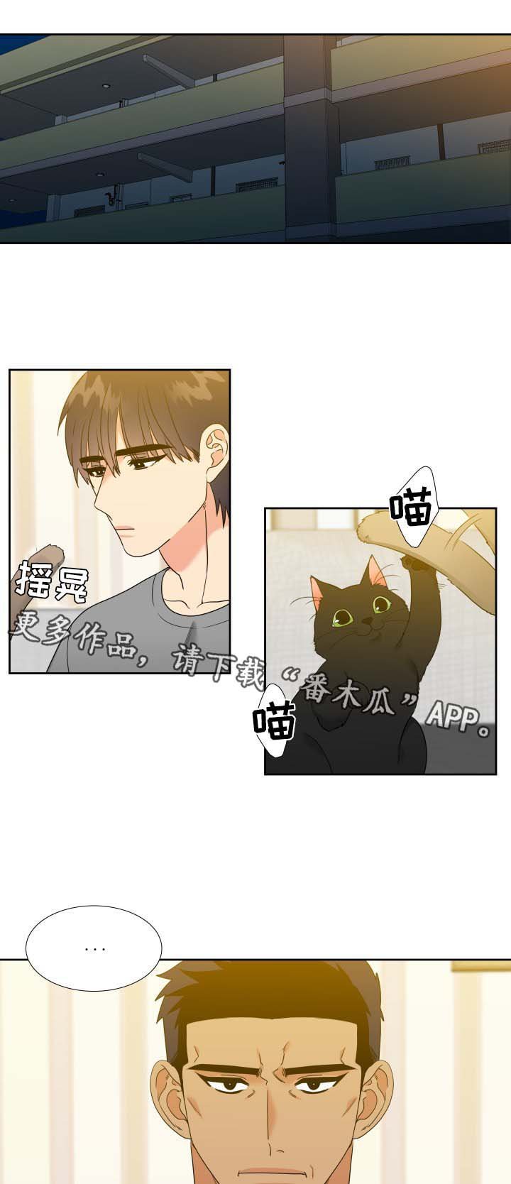 第72章：外宿