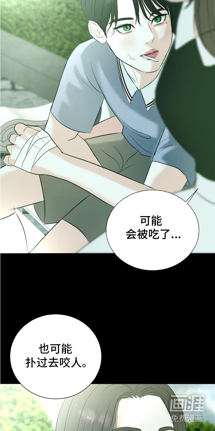 第18章：叛徒