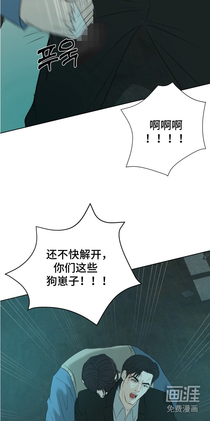 第23章：鉴定书