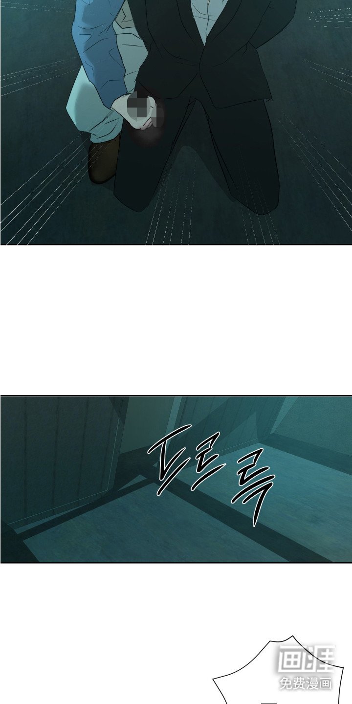 第23章：鉴定书