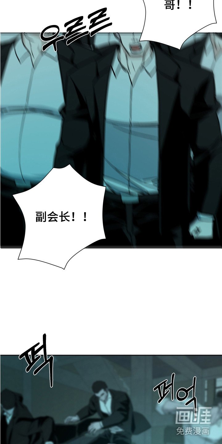 第23章：鉴定书