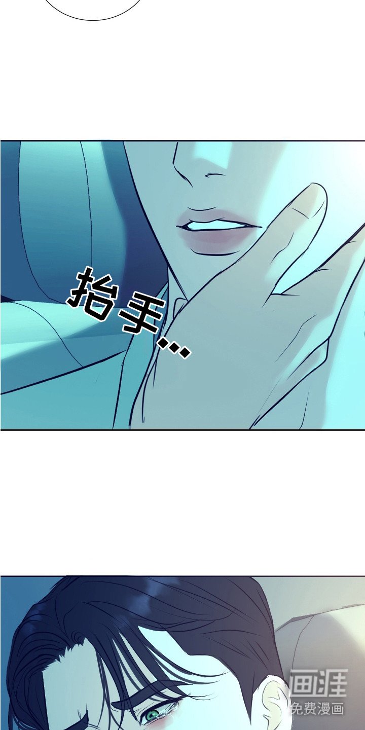 第23章：鉴定书