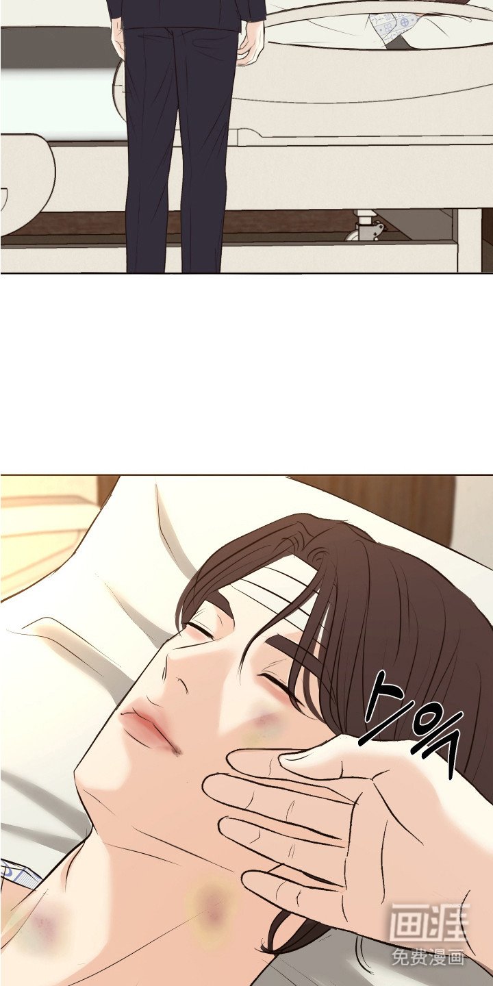第23章：鉴定书