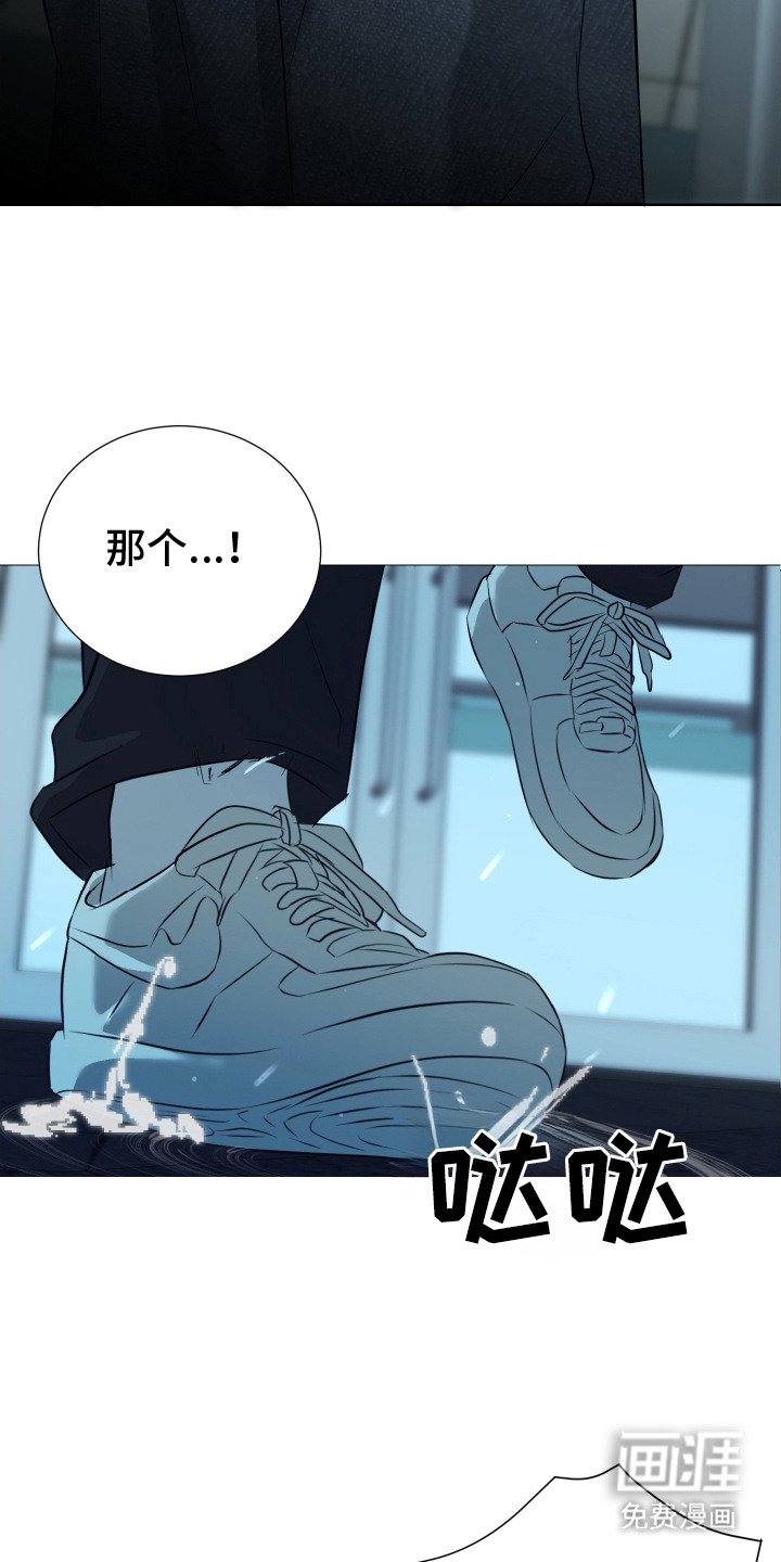 第3章：理想型