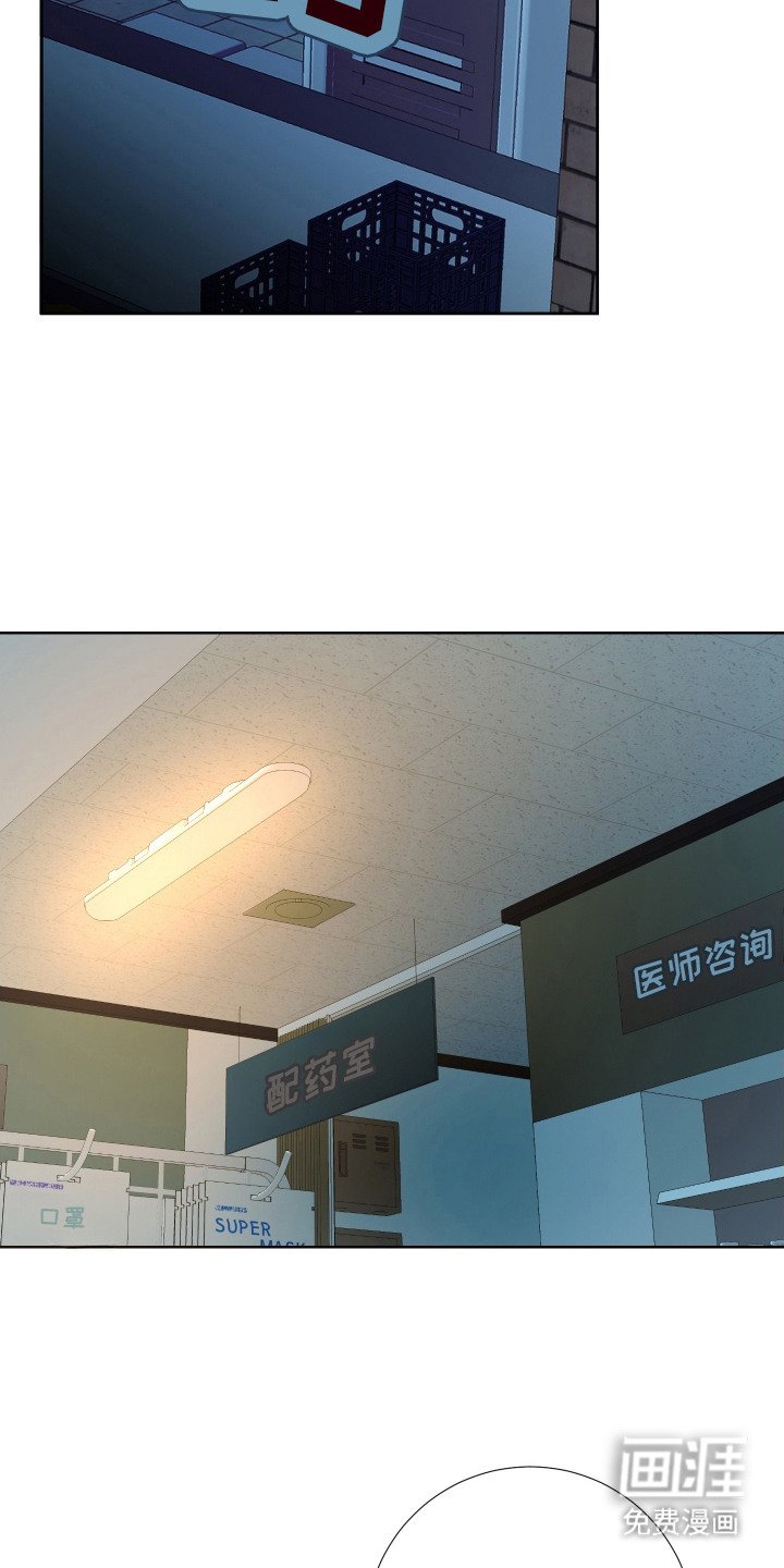 第3章：理想型