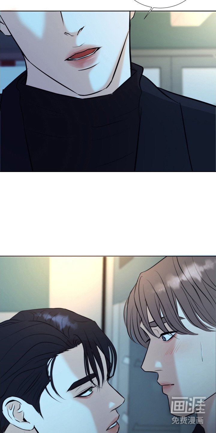 第3章：理想型
