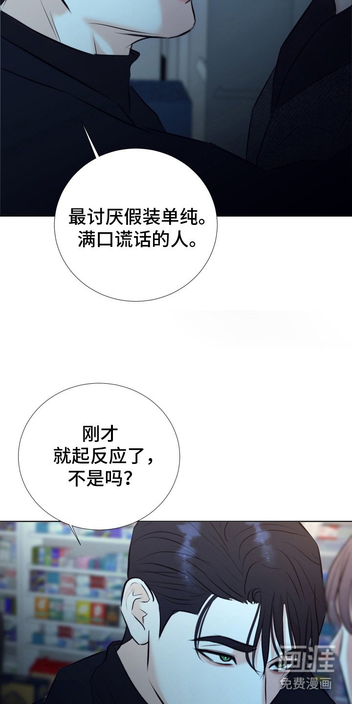 第3章：理想型
