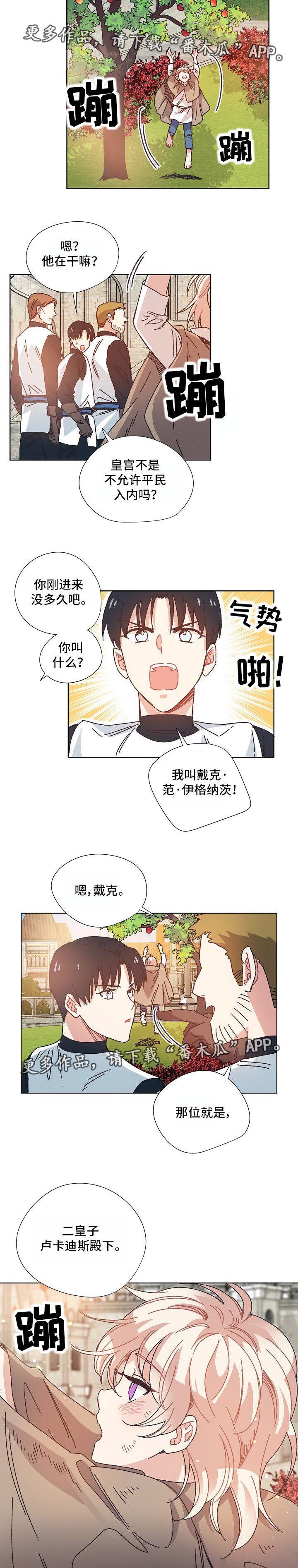 第19章：太子妃