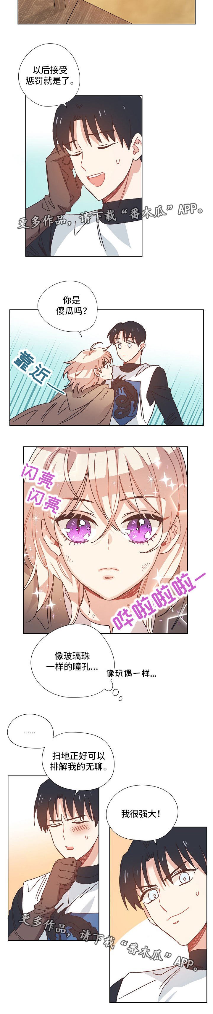 第21章：我的骑士