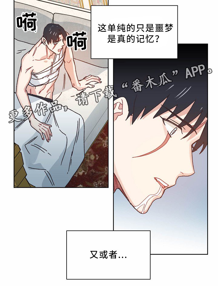 第35章：记忆