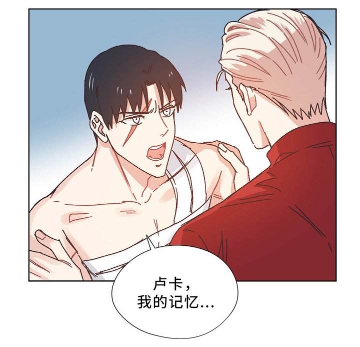 第35章：记忆