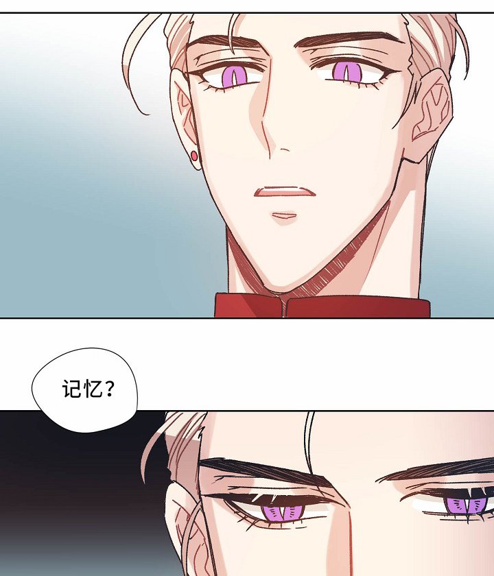 第35章：记忆
