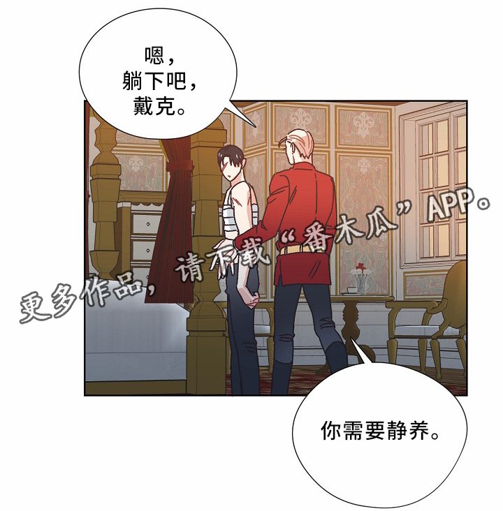 第35章：记忆