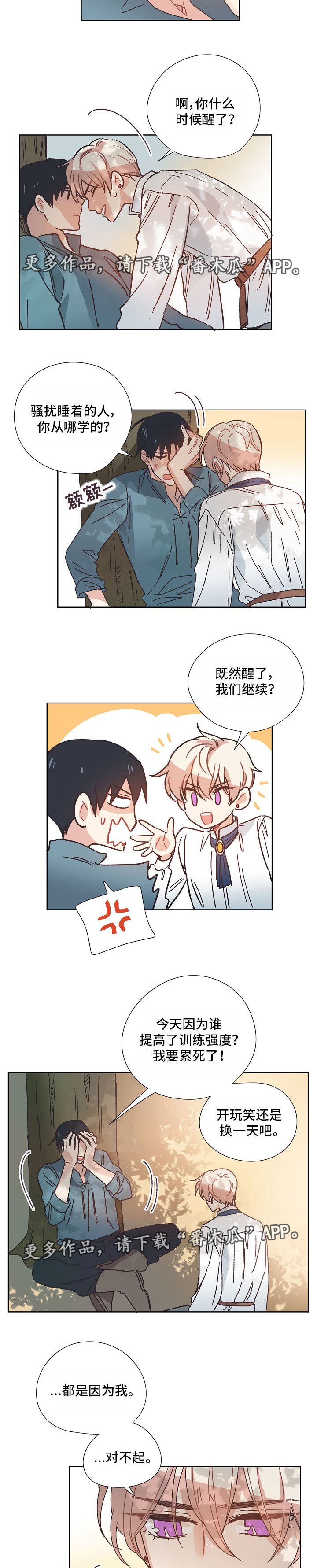 第5章：骑士
