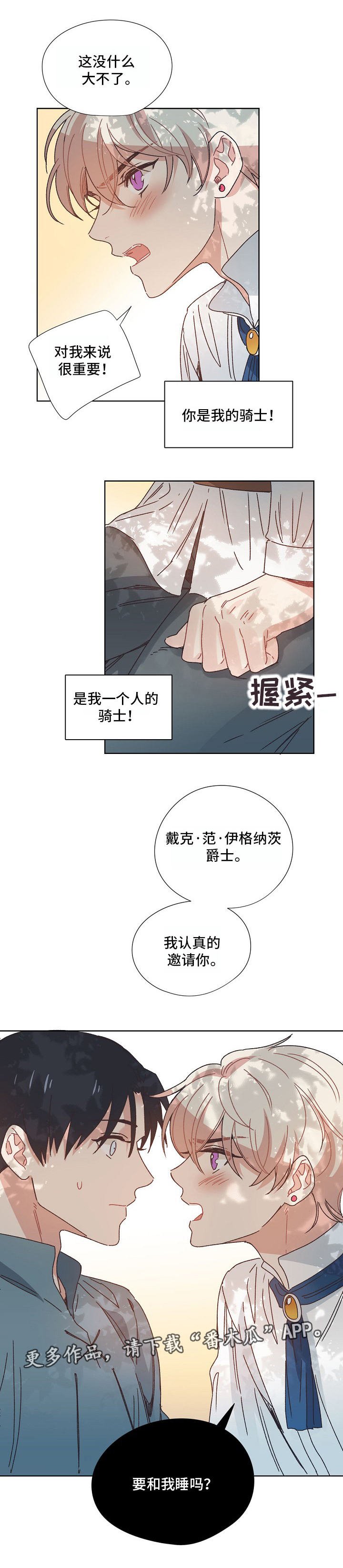 第5章：骑士