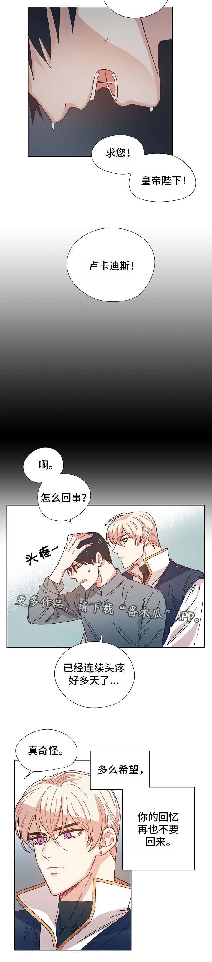 第7章：失去的记忆