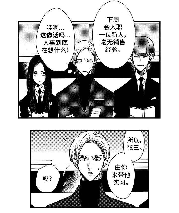 第1章：新人