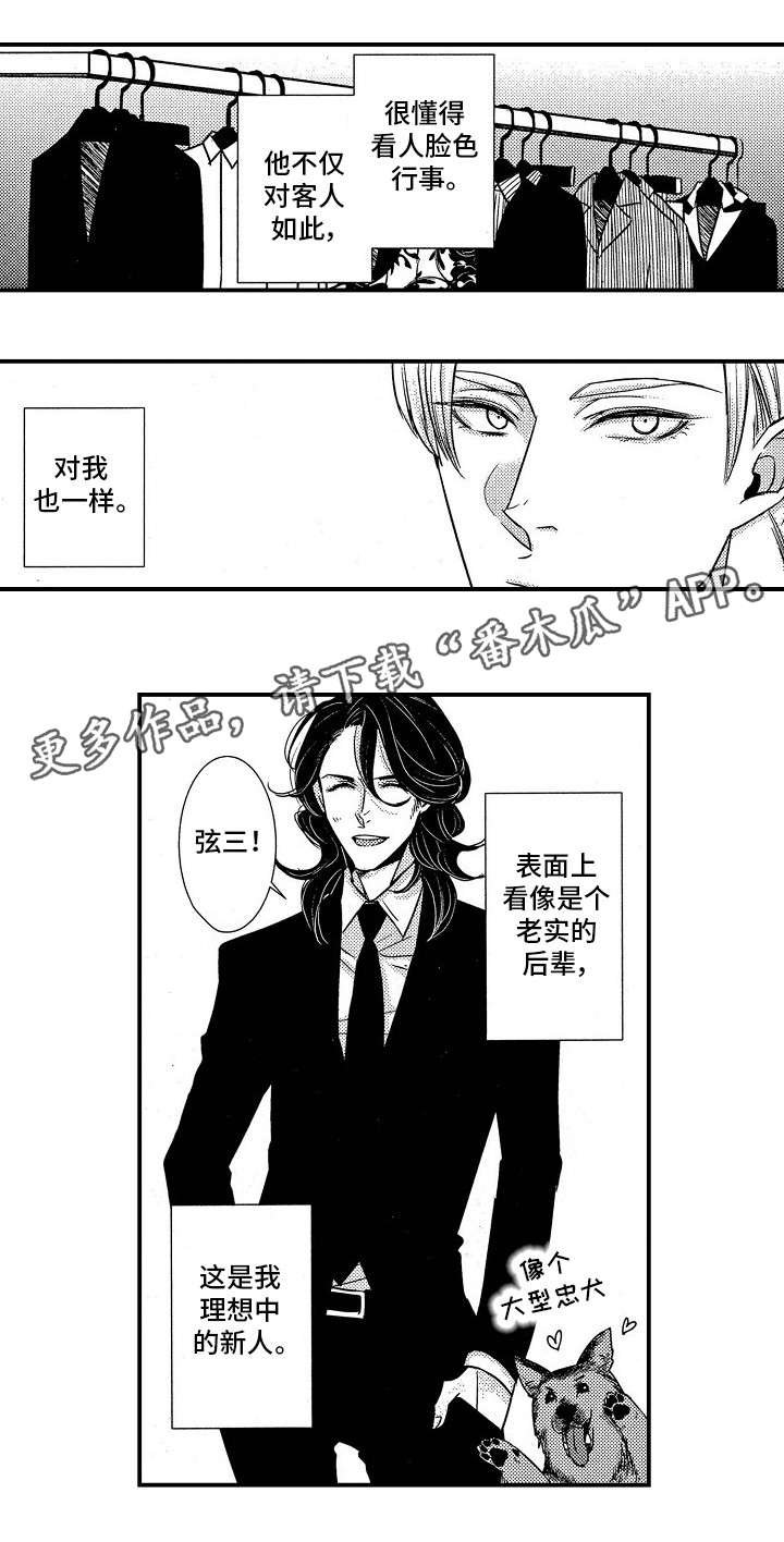 第8章：VIP