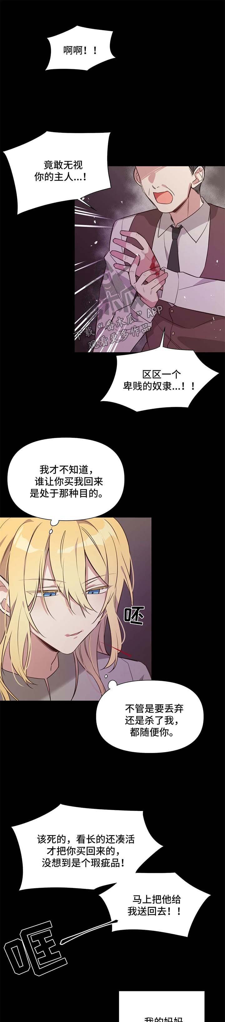 第100章：番外：雷奥1