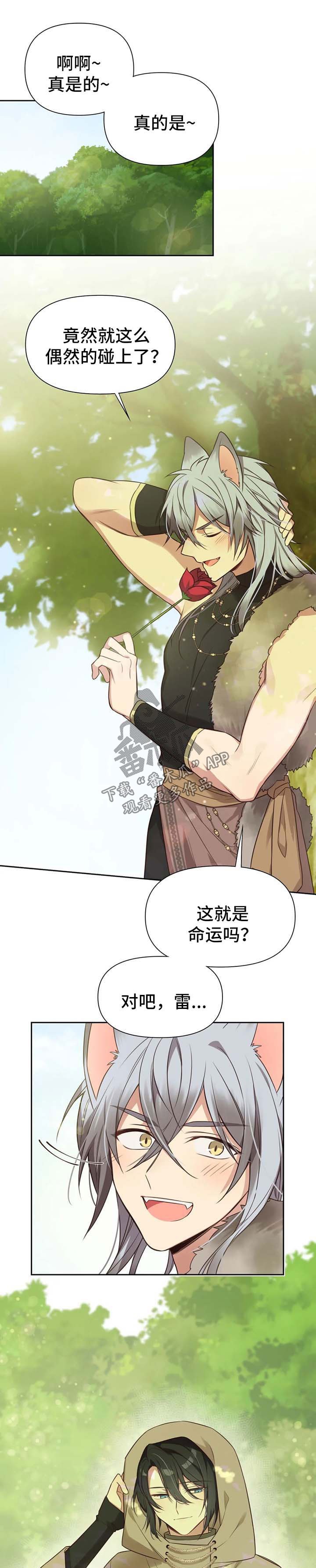 第104章：番外：雷奥5