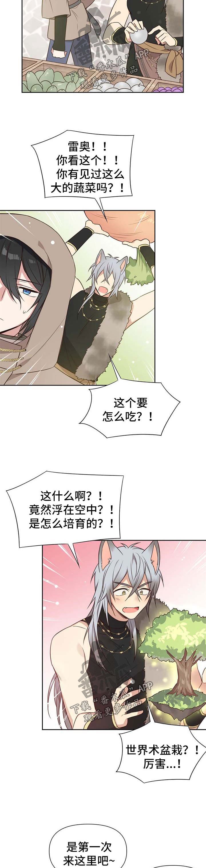 第104章：番外：雷奥5