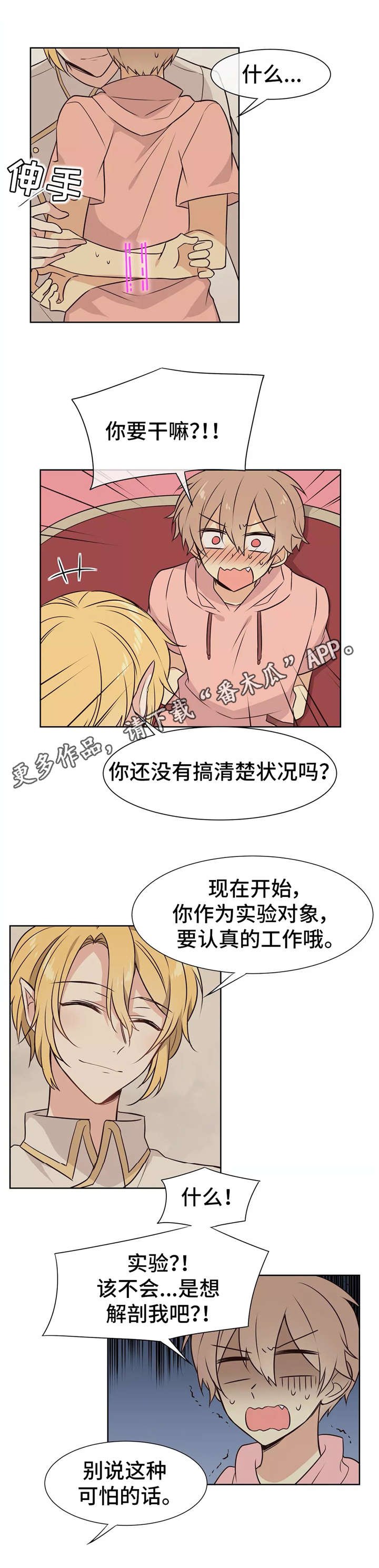 第15章：实验