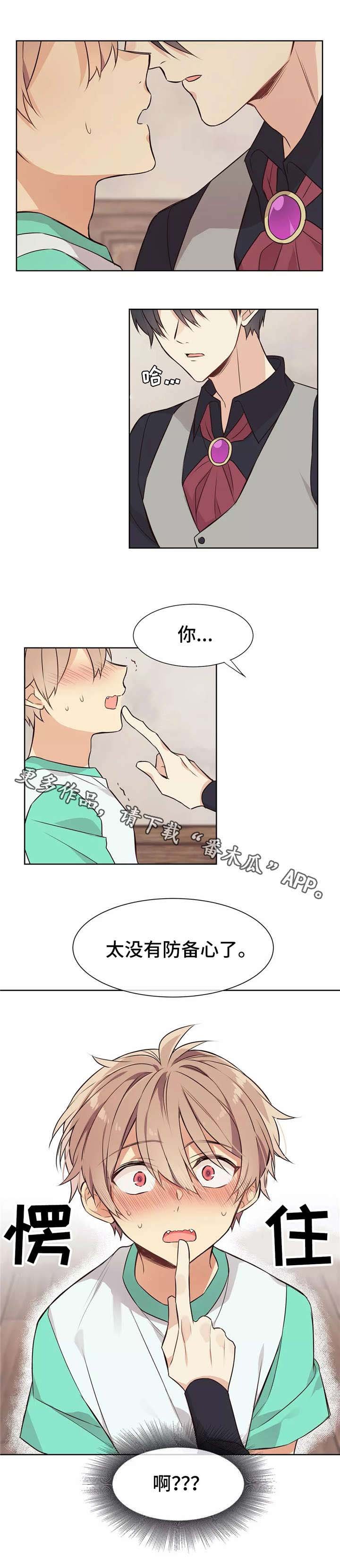 第20章：下一步