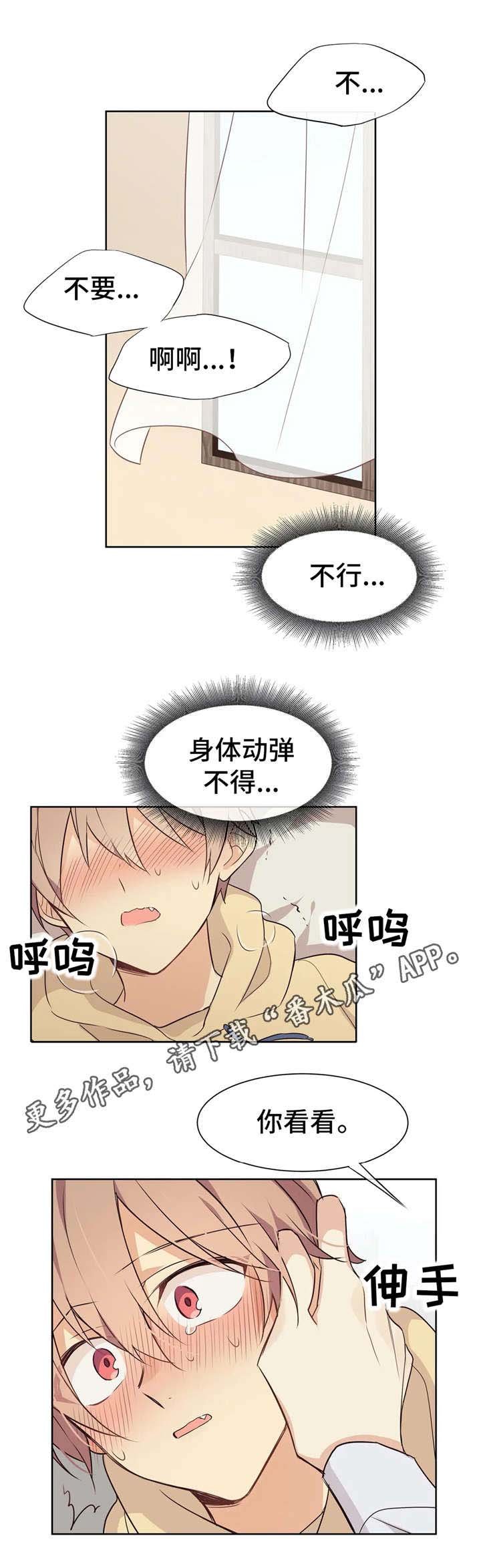 第26章：固执