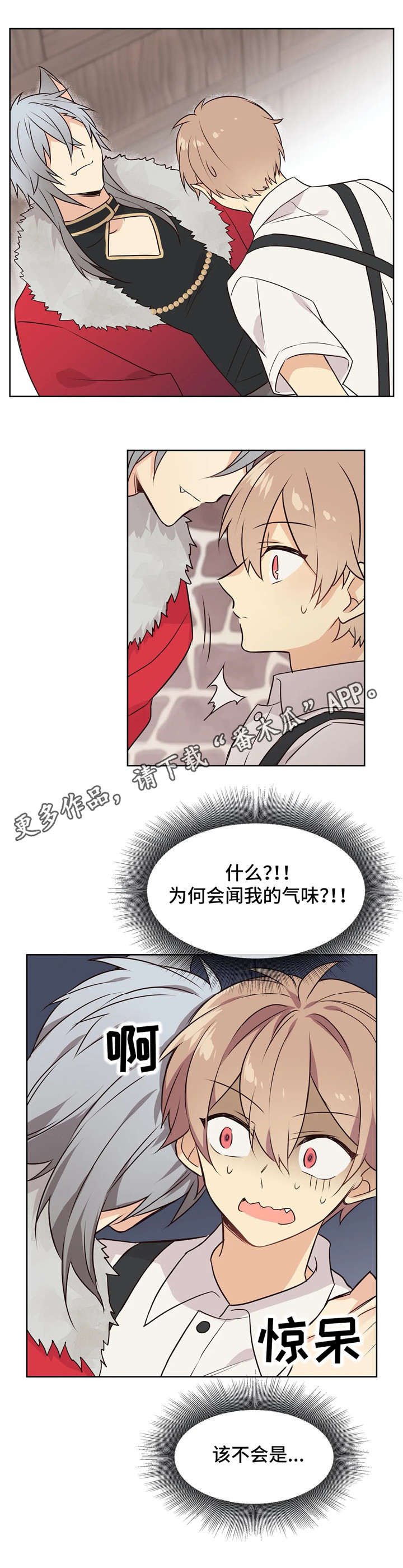 第36章：供货公司