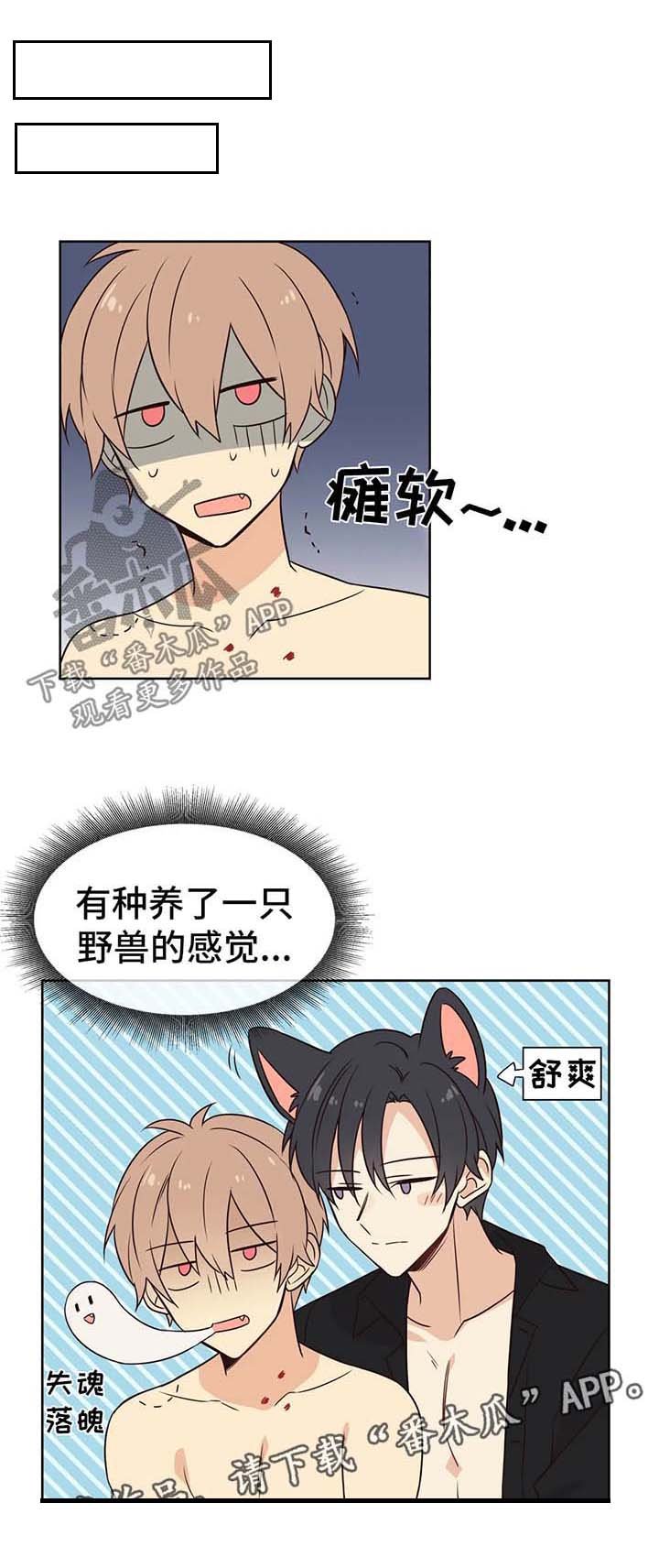 第74章：所有物
