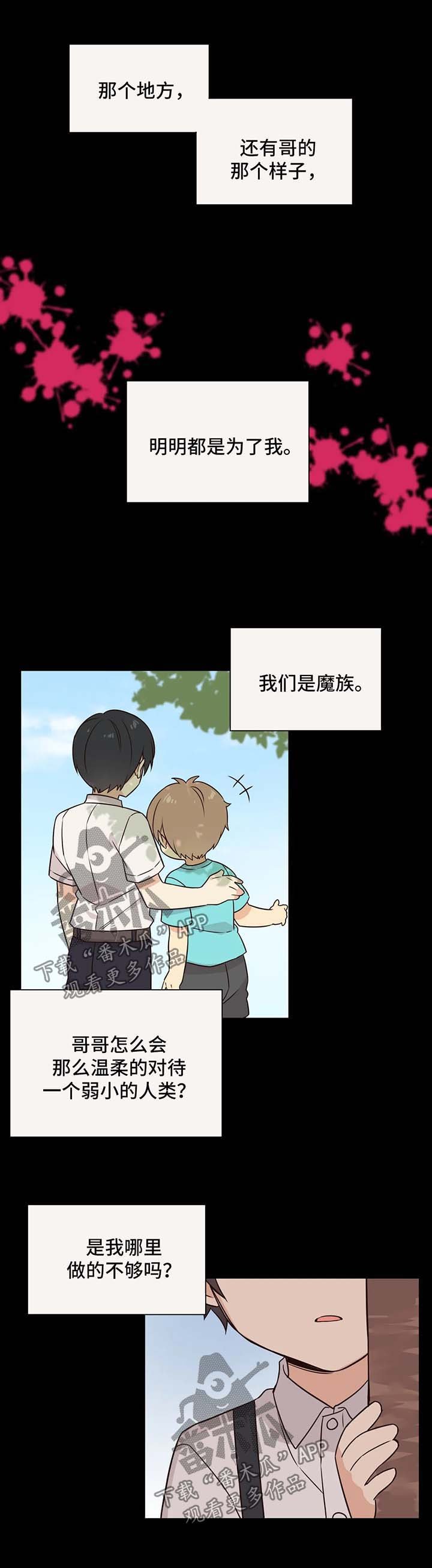 第78章：哥哥是我的全部