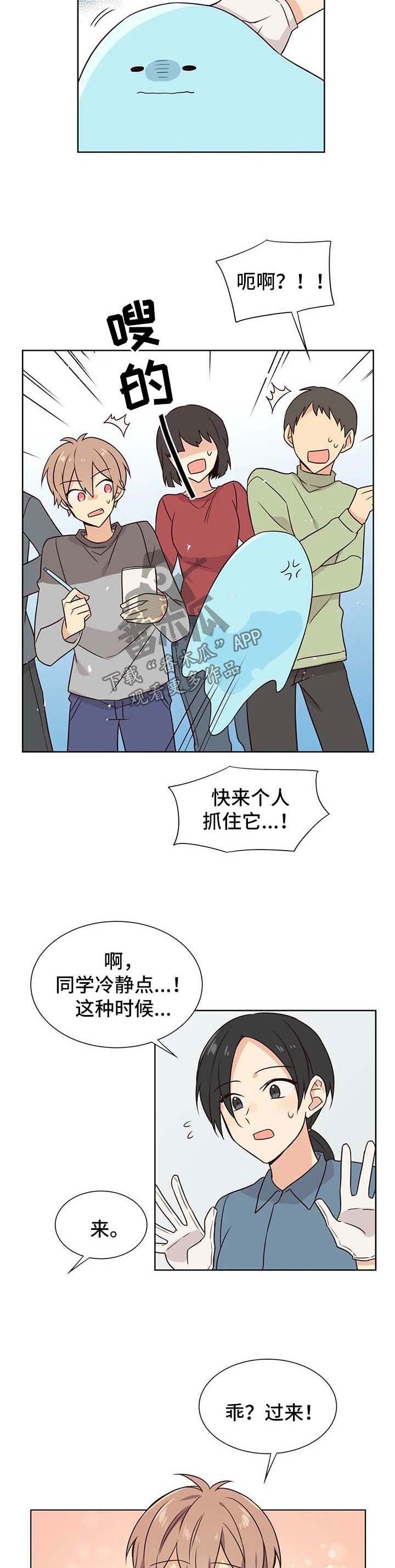 第81章：有反应了