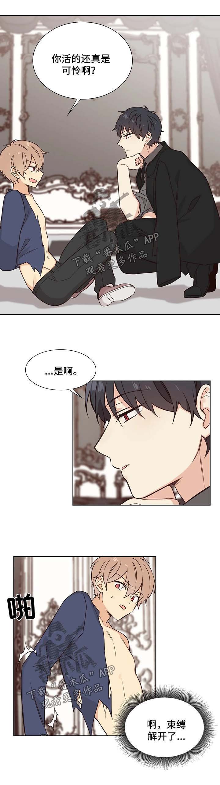 第88章：做我的玩具