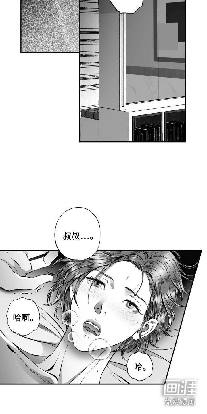 第12章：轮回（完结）