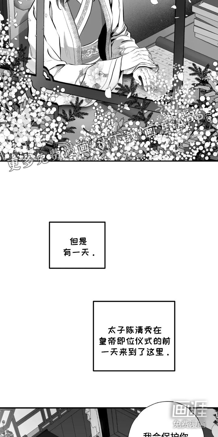 第7章：没得选