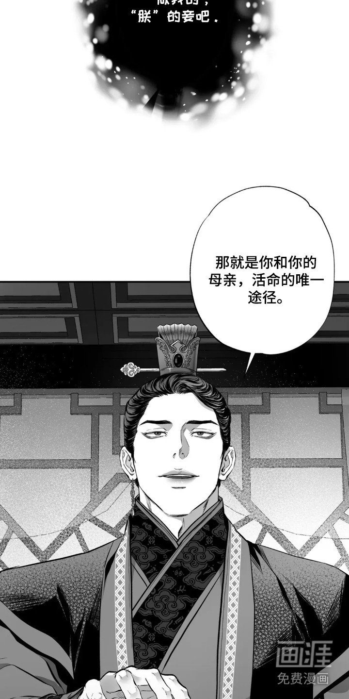 第7章：没得选