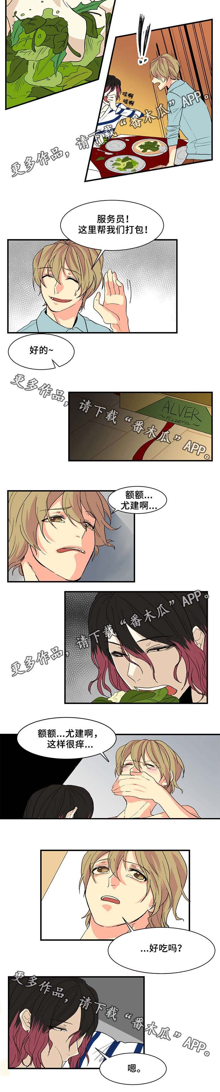 第9章：喂食