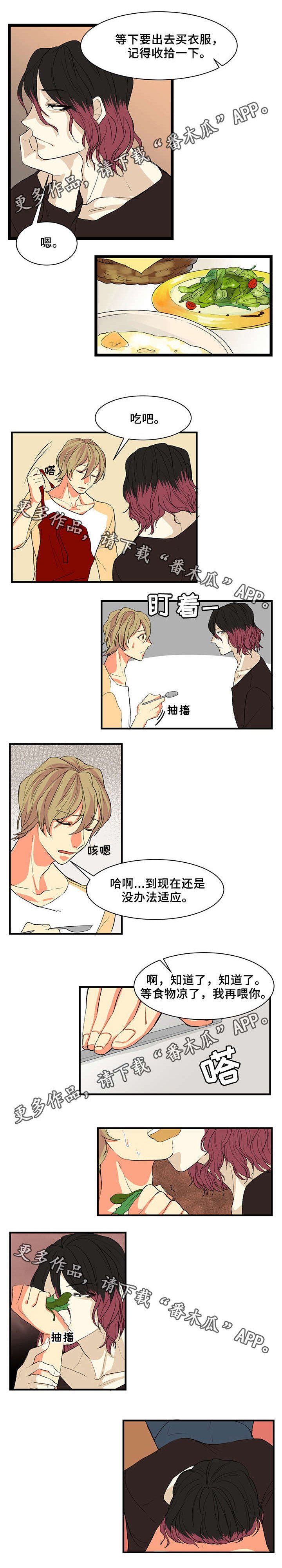 第9章：喂食
