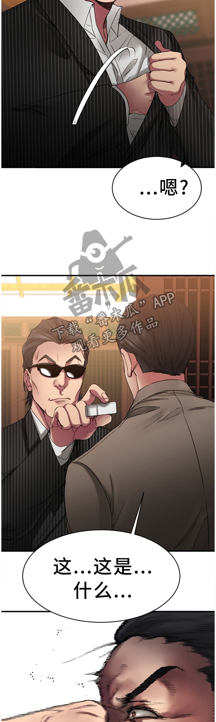 第77章：解释