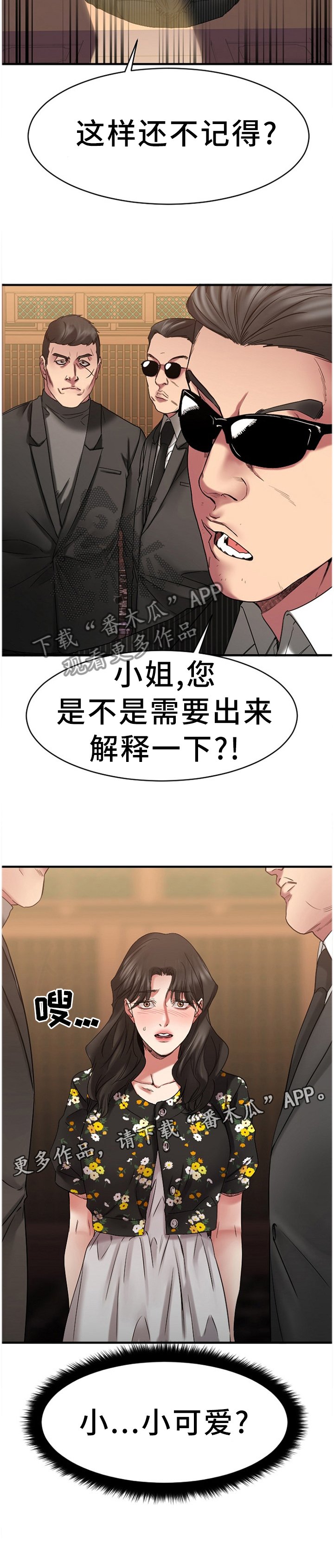 第77章：解释