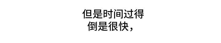 第28章：终于开始