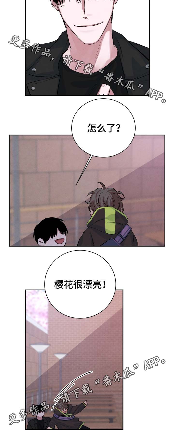 第39章：樱花